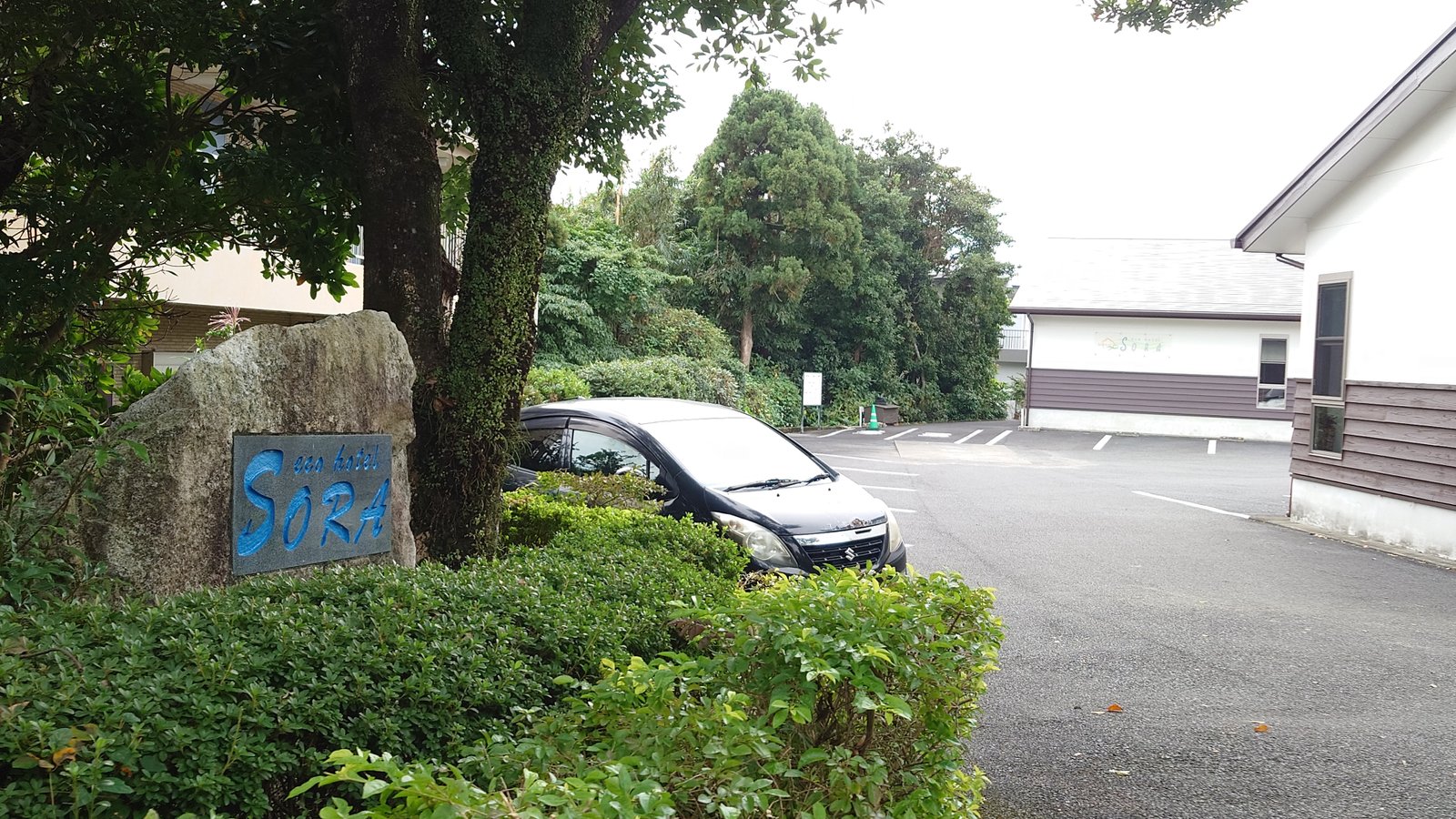 tamaさん・屋久島の発見レポ