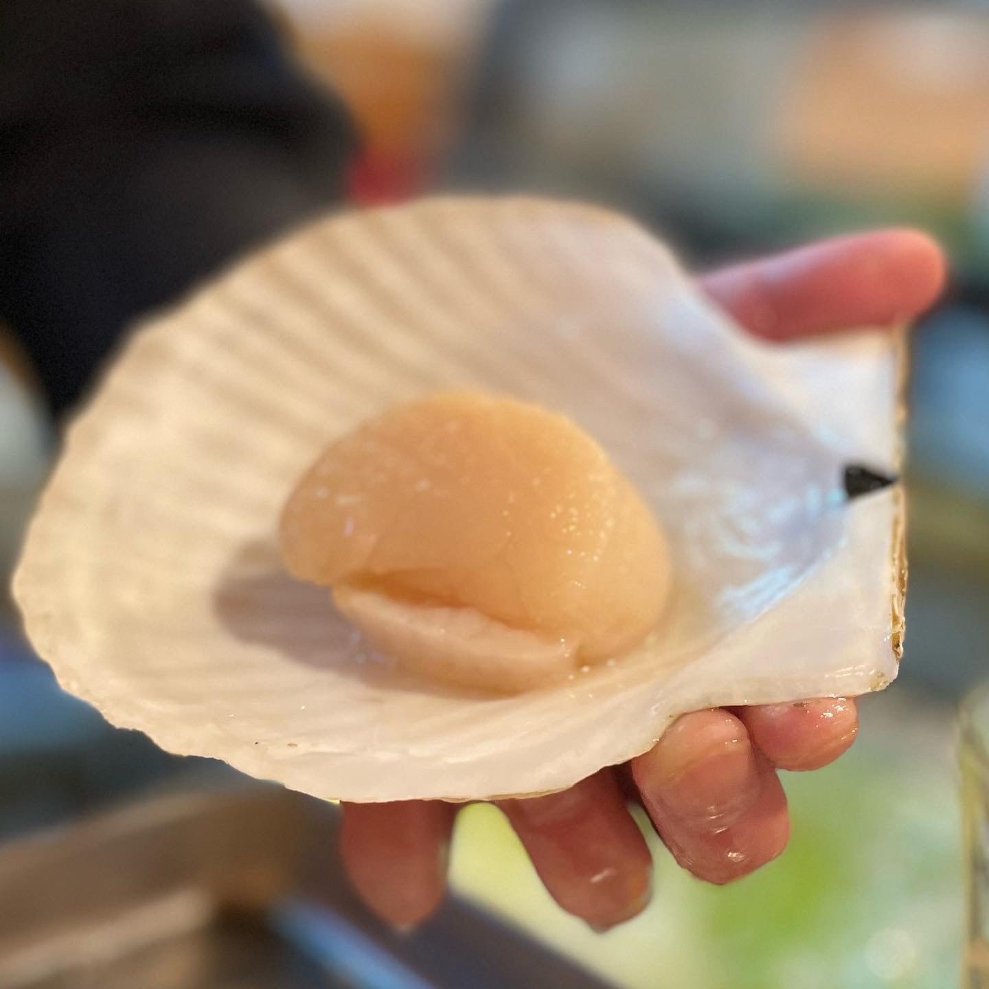 別海名産天然ホタテ（冷凍貝柱・Lサイズ・1kg） | 大隅商店Webショップ部