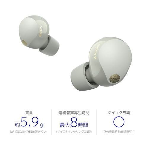 ソニー ワイヤレス イヤホン 左右分離 ハイレゾ ノイズキャンセリング