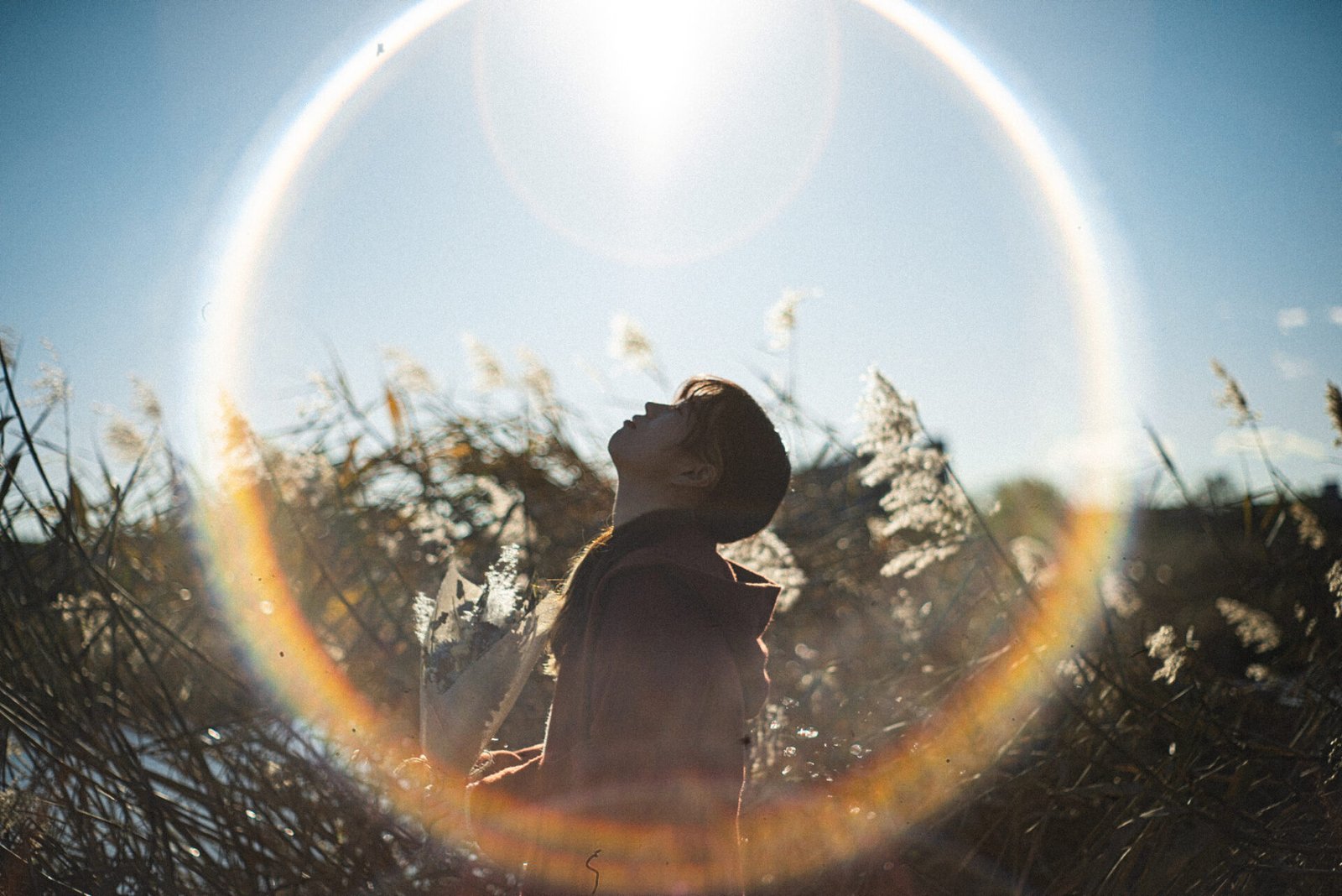 作例レビュー】Super Takumar 55mm F1.8｜ペンタックスのオールド