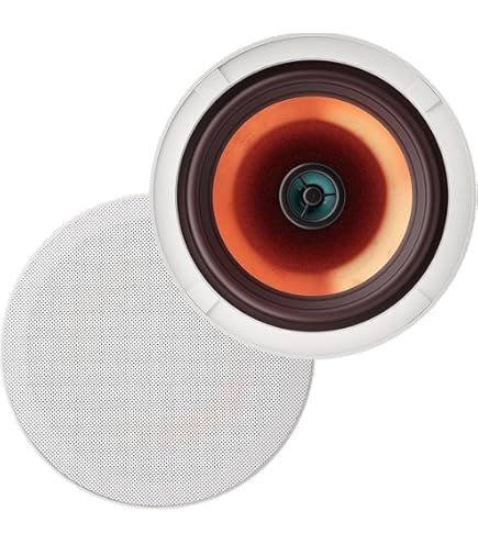Amazon | Panasonic 防滴スピーカー天井埋込みタイプ(3W・パネル付属