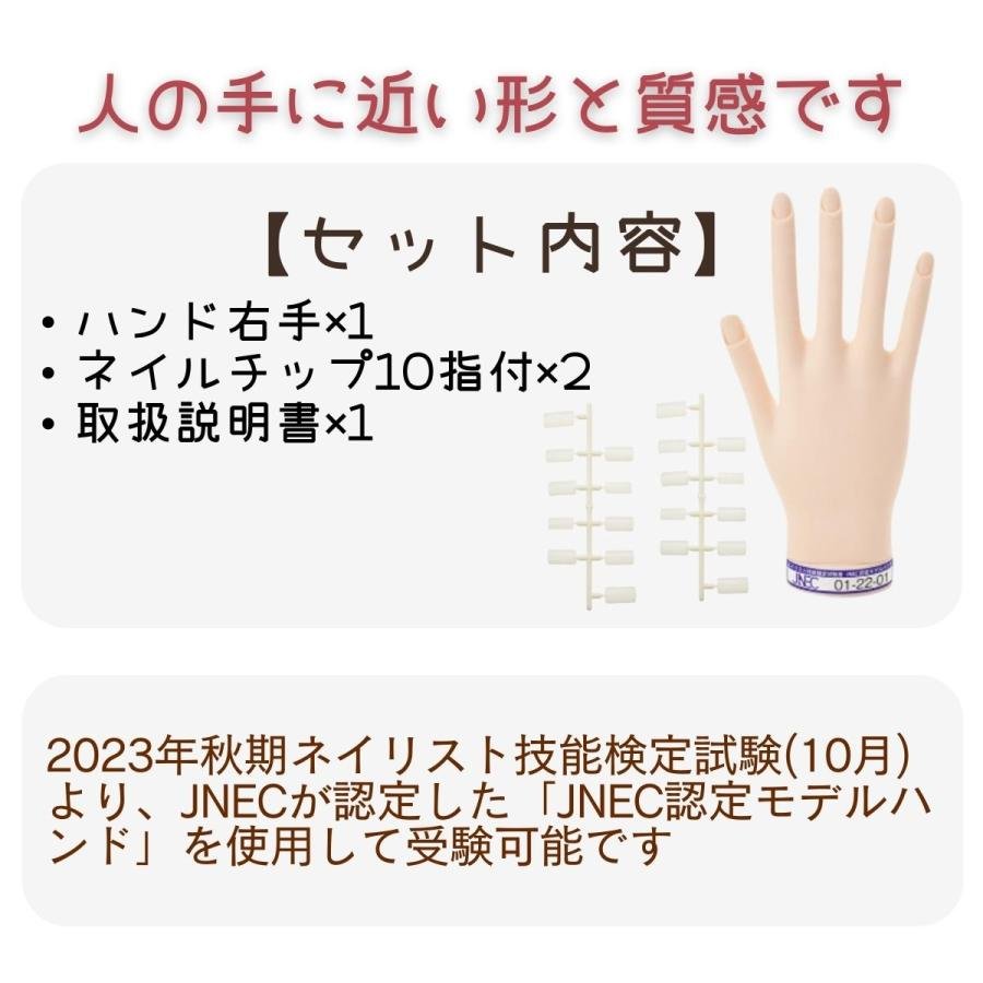 滝川（TAKIGAWA） JNEC認定ハンド STモデルハンド 右手 ネイルチップ